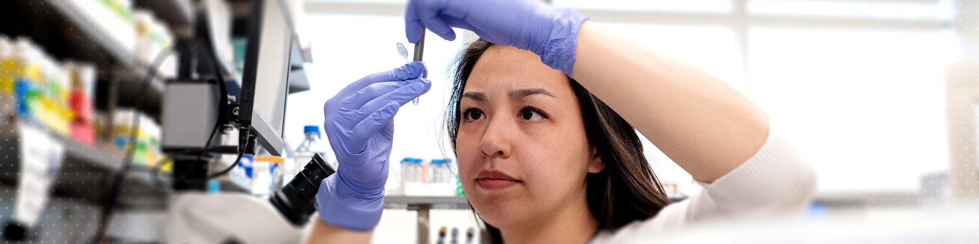 戴着紫色手套的学生在科学实验室使用微量移液器.